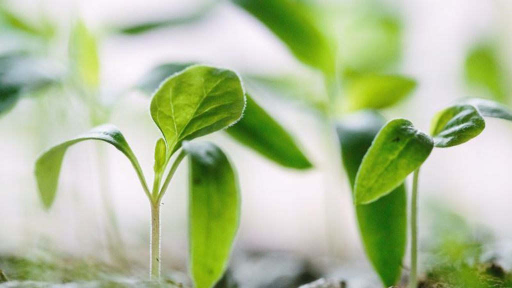 Francesco Gallarotti Ruqhpukrn7c Unsplash S